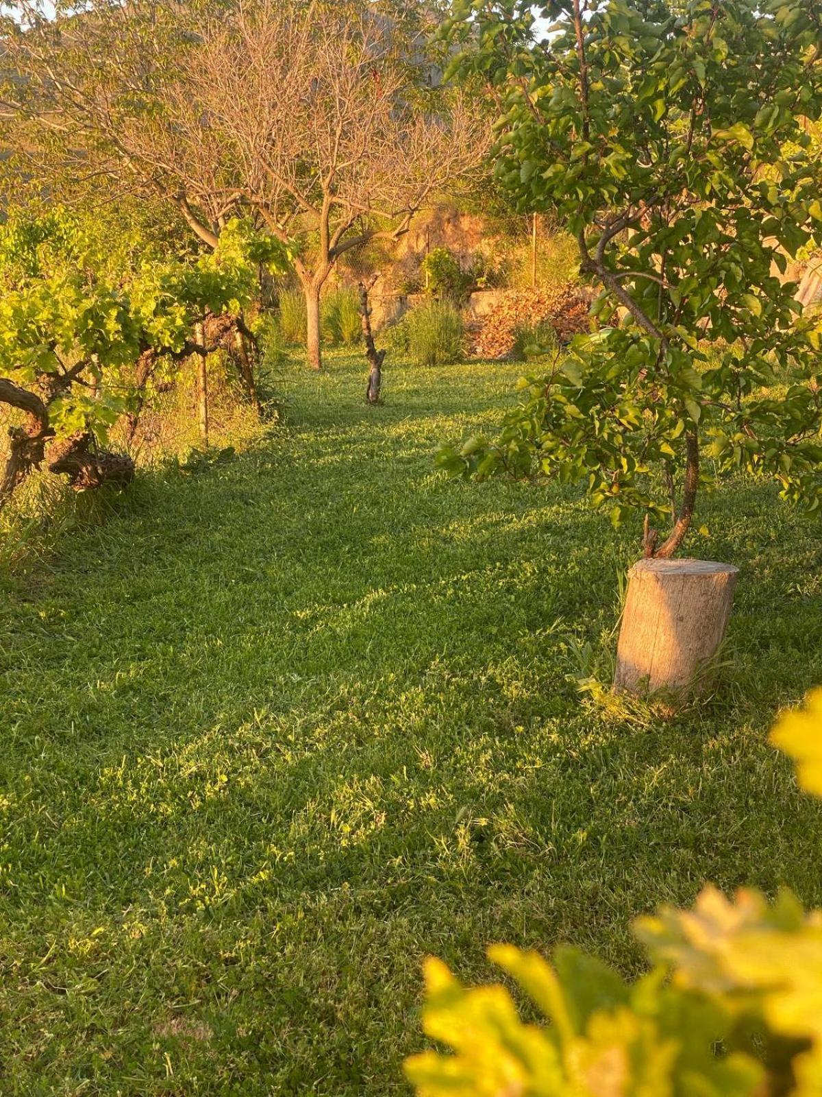 Casa Rural Balcon De Monachil Eksteriør bilde
